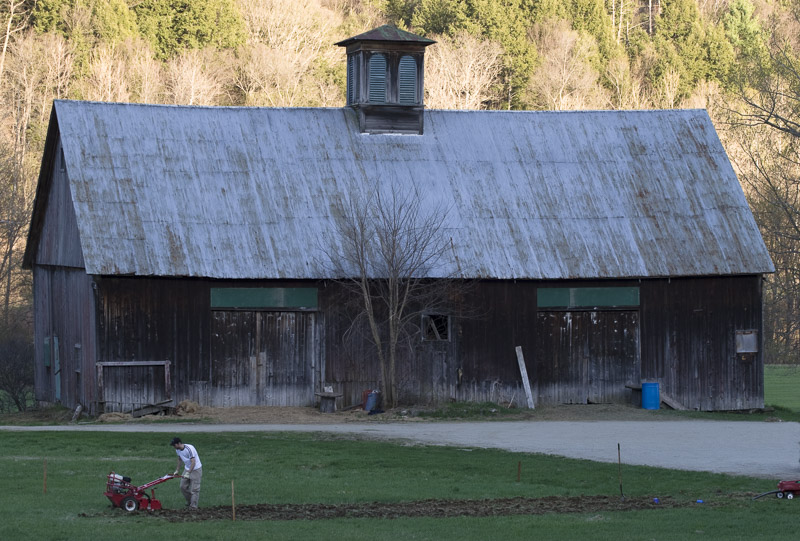 old barn, new garden-7042