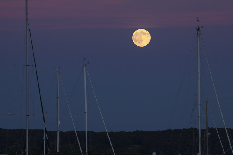 full buck moon-7282