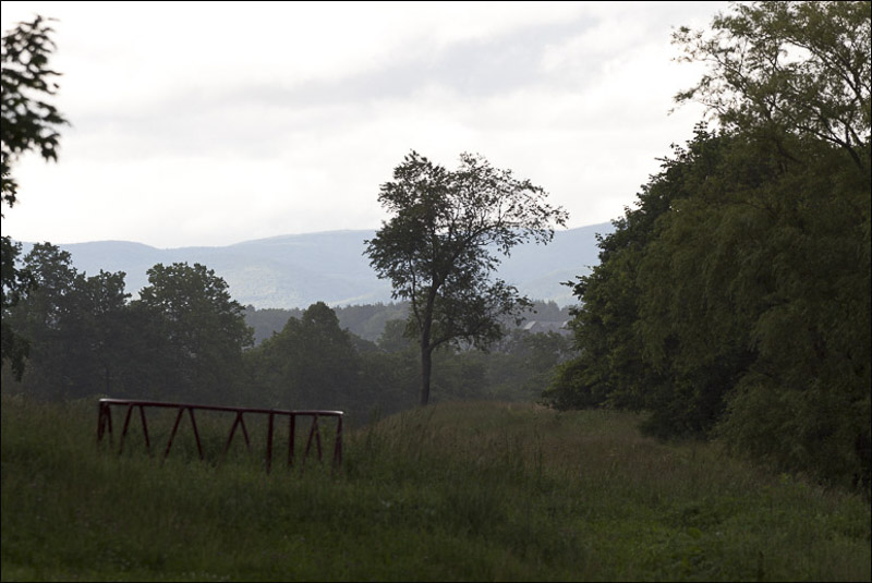 summer meadow B-2