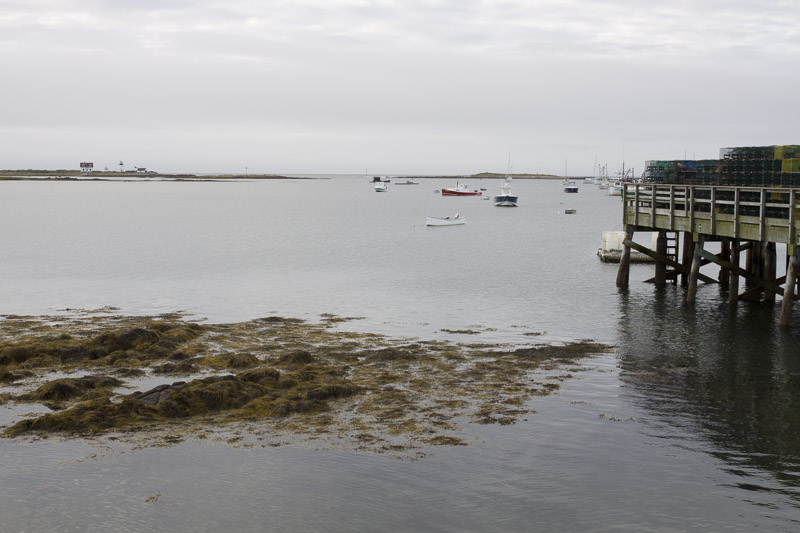 cape porpoise harbor-4877